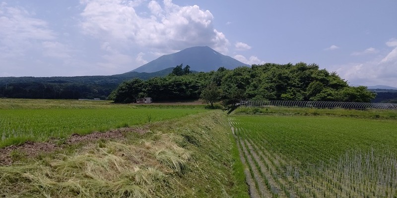 1.姫路市にお住まいのD様が、「相続した田を宅地に転用して売却できた事例」